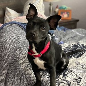 Meet your Posher, Caroline